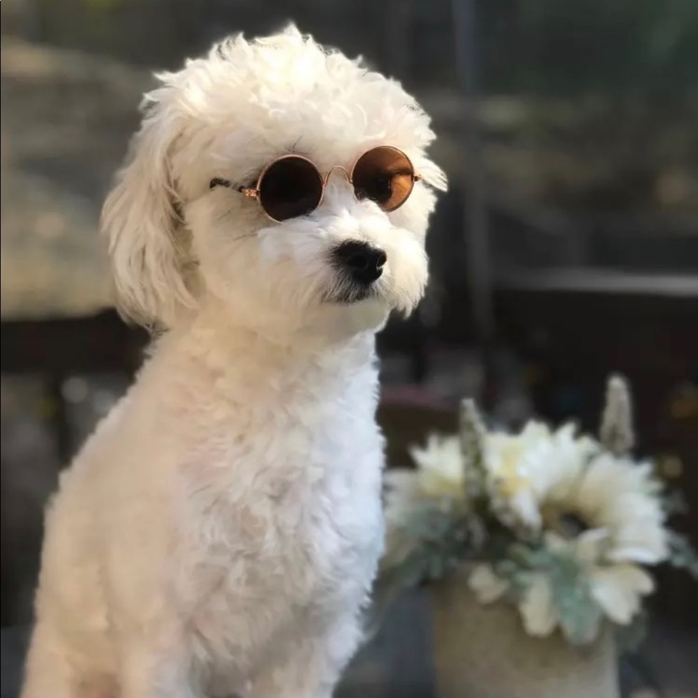 2 pair for $15 Kitty sunglasses - Picture 4 of 16